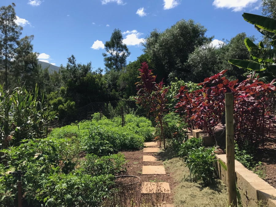 4 Bedroom Property for Sale in Elandsrivier Eastern Cape